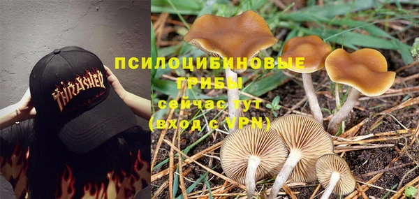 ешки Кодинск