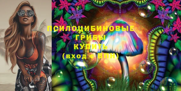 прущие грибы Козельск