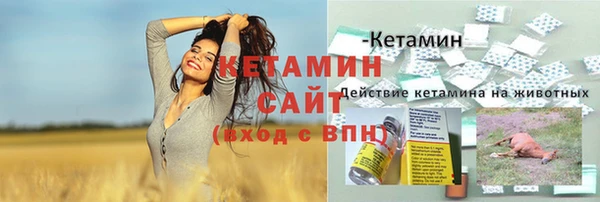 прущие грибы Козельск