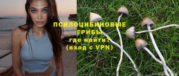 прущие грибы Козельск