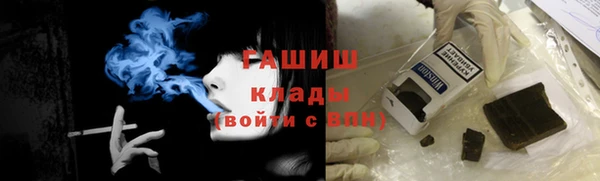 прущие грибы Козельск