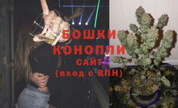 прущие грибы Козельск