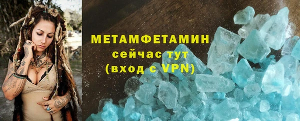 прущие грибы Козельск