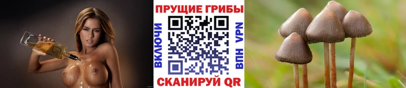 Купить  Стрежевой  Галлюциногенные грибы мухоморы 